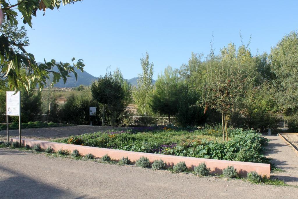 Centro De Agroecologia Y Medio Ambiente De Murcia Bullas Room photo