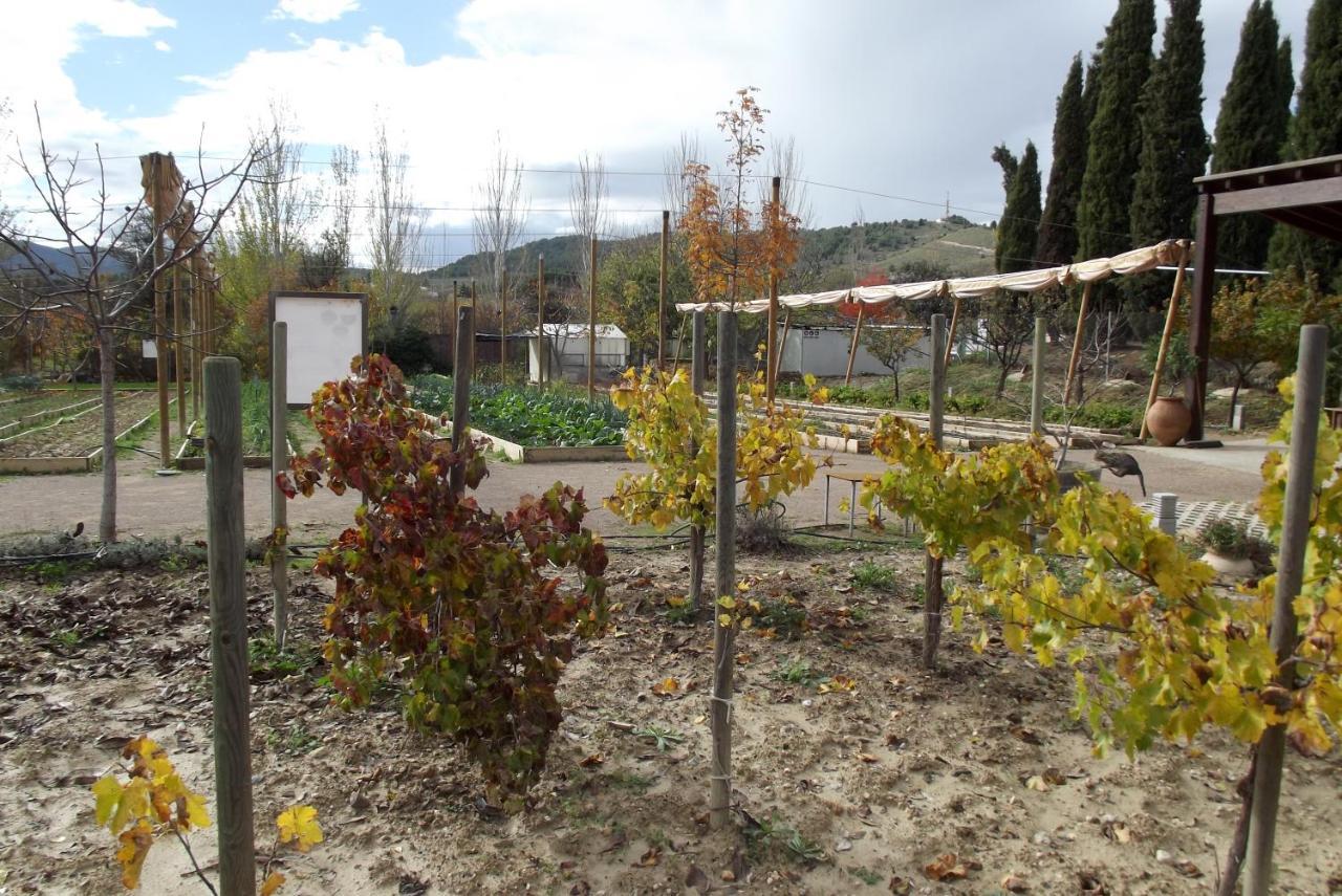 Centro De Agroecologia Y Medio Ambiente De Murcia Bullas Exterior photo